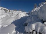 Koča pri Savici - Planina Lopučnica